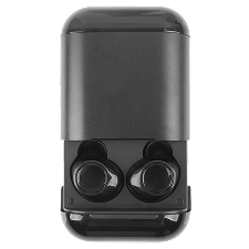 Earphones